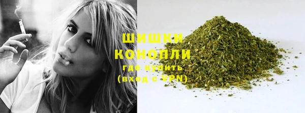 стаф Ельня