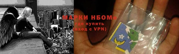 стаф Ельня