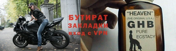 стаф Ельня