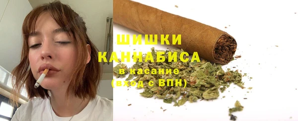 бошки Елабуга