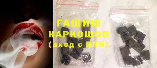 стаф Ельня
