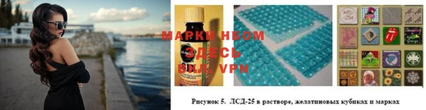 стаф Ельня