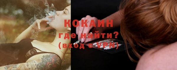 стаф Ельня