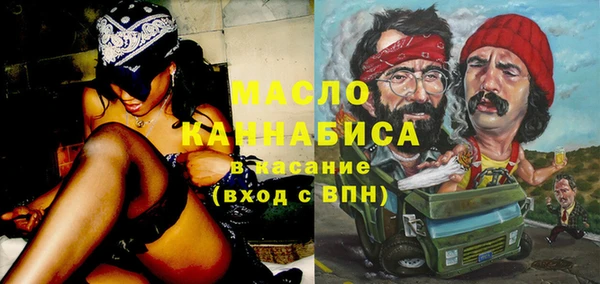 стаф Ельня