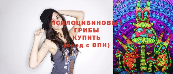 стаф Ельня