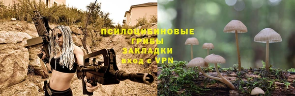 бошки Елабуга