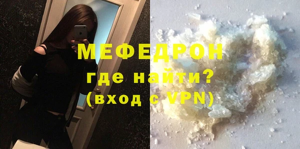 стаф Ельня