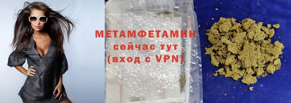 стаф Ельня