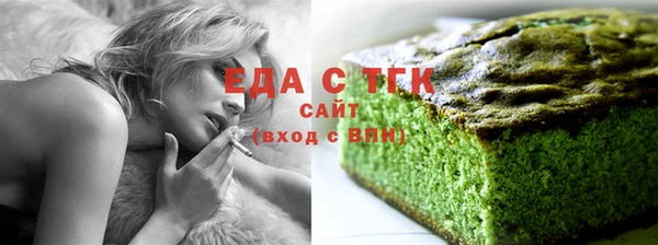 стаф Ельня