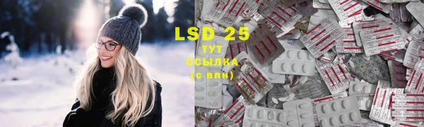 бошки Елабуга
