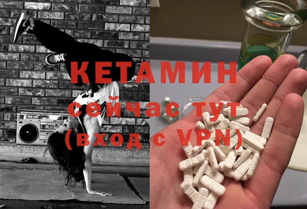 стаф Ельня